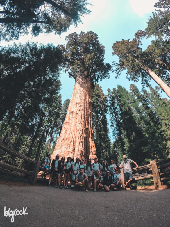 DCIM100GOPROGOPR0489.JPG