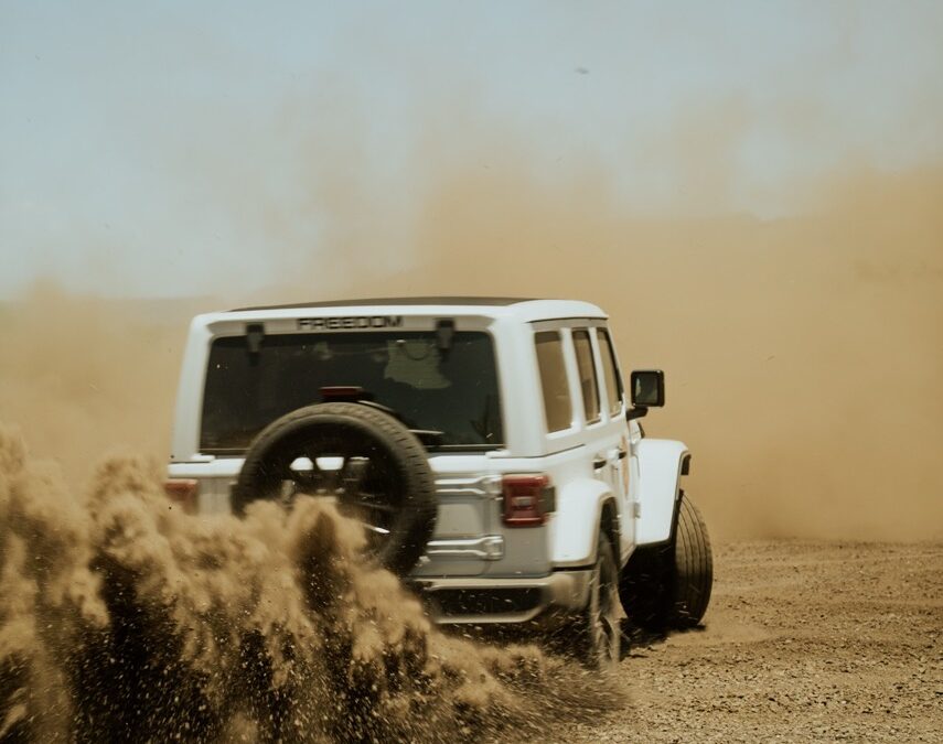 i cactus hanno le spine ?